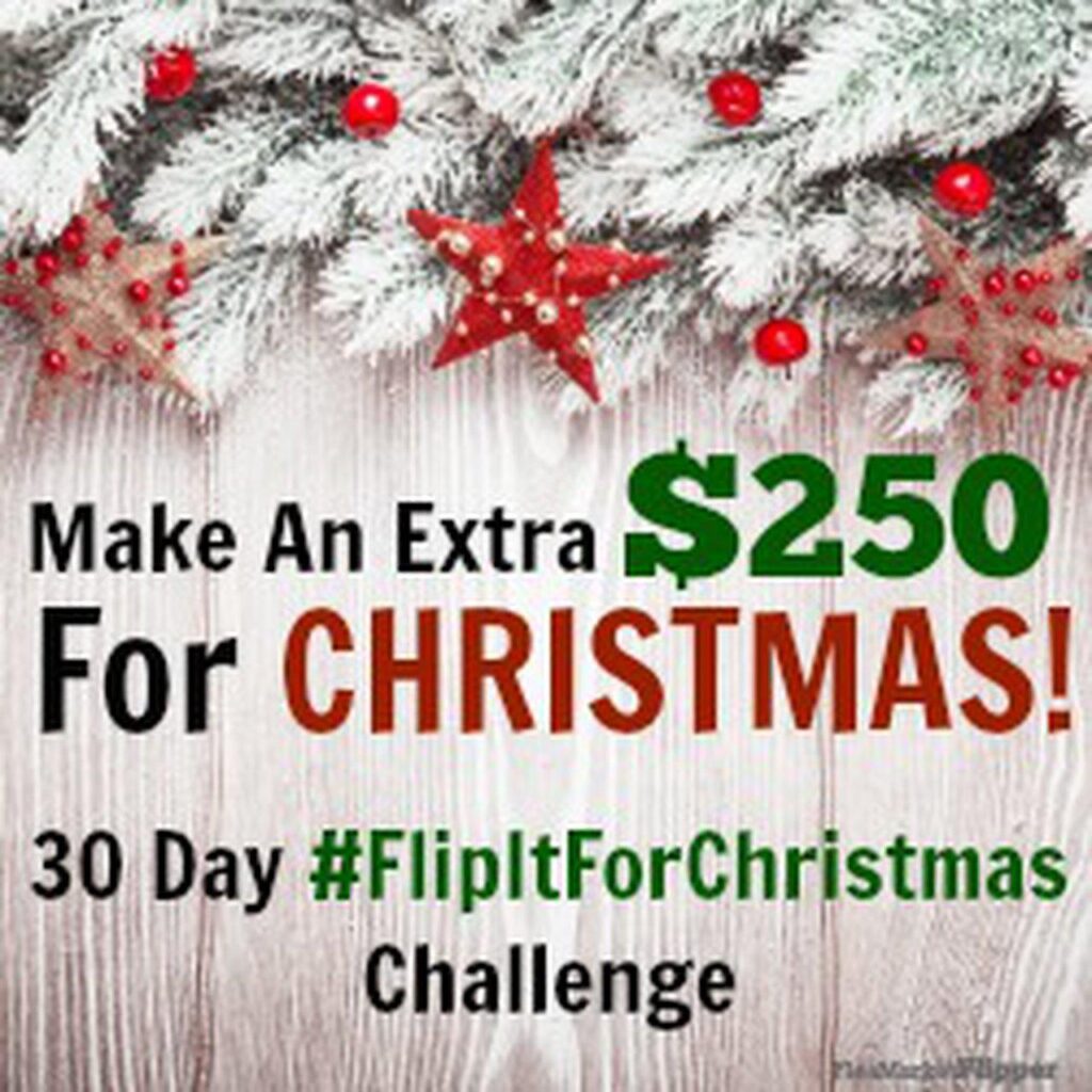 A Para Pro flea market flipper affiliate Christmas challenge. 